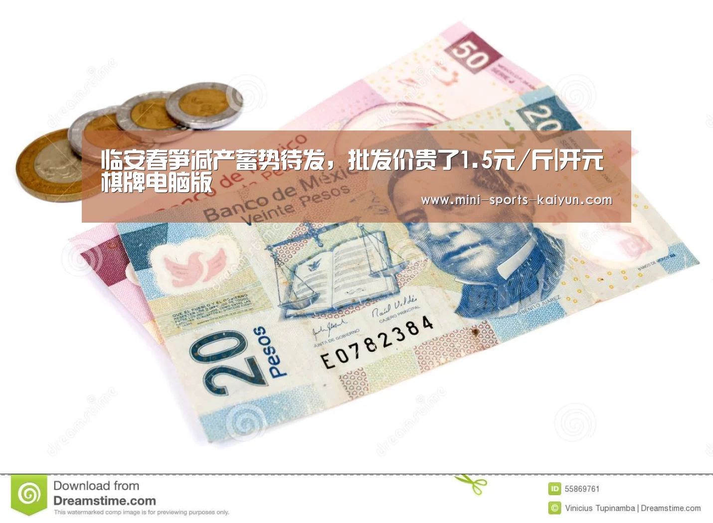 临安春笋减产蓄势待发,批发价贵了1.5元/斤|开元棋牌电脑版(图3) 开元棋牌下载