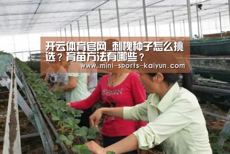 开云体育官网_刺槐种子怎么挑选?育苗方法有哪些?(图1) 开元棋牌下载