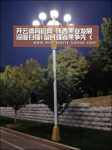 开云体育官网