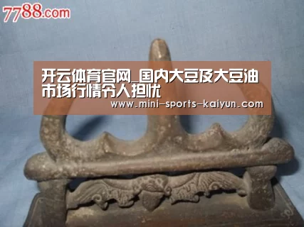 开云体育官网_国内大豆及大豆油市场行情令人担忧(图1) 开元棋牌下载