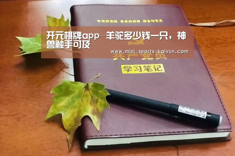 开元棋牌下载