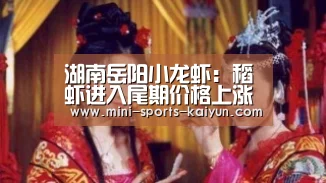 湖南岳阳小龙虾:稻虾进入尾期价格上涨-开云体育官网(图3) 开元棋牌下载