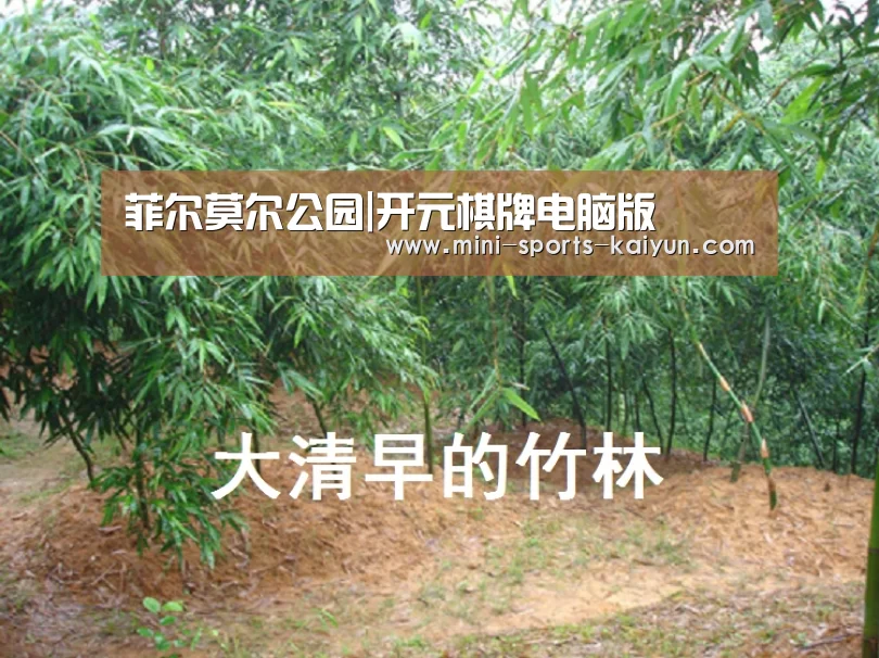 菲尔莫尔公园|开元棋牌电脑版(图3) 开元棋牌电脑版
