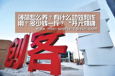 薄荷怎么养?有什么功效和作用?多少钱一斤?“开元棋牌app”(图1) 开元棋牌下载